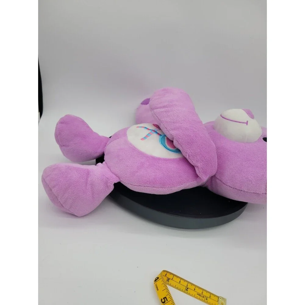 2012 American Greetings Care Bears Share Bear  Hasbro Purple  Lollipop 18